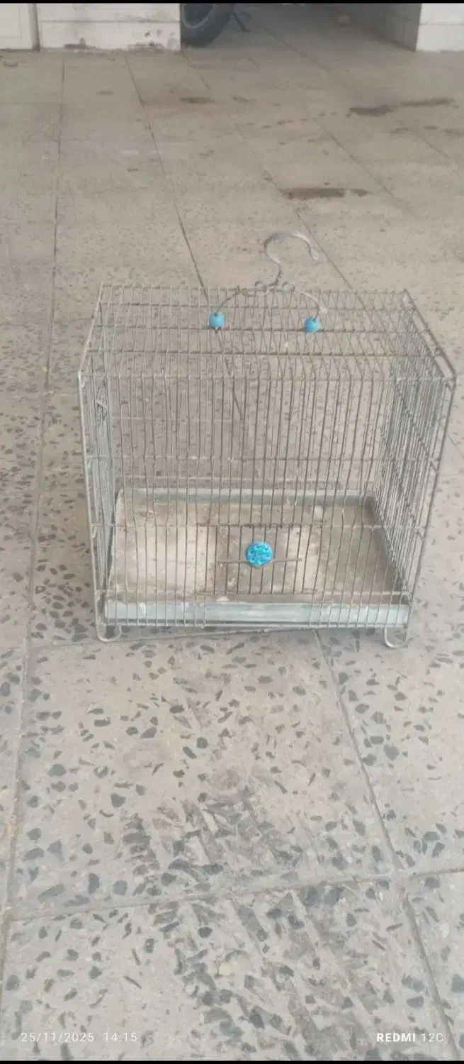 قفس پرنده|لوازم جانبی حیوانات|مهاجران, |دیوار