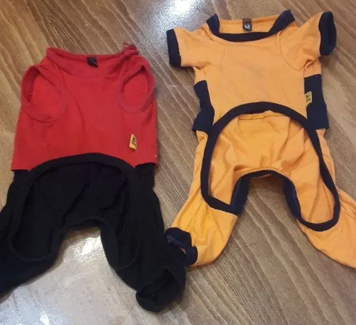 لباس پت (سگ)|لوازم جانبی حیوانات|محمدشهر, همایون ویلا|دیوار