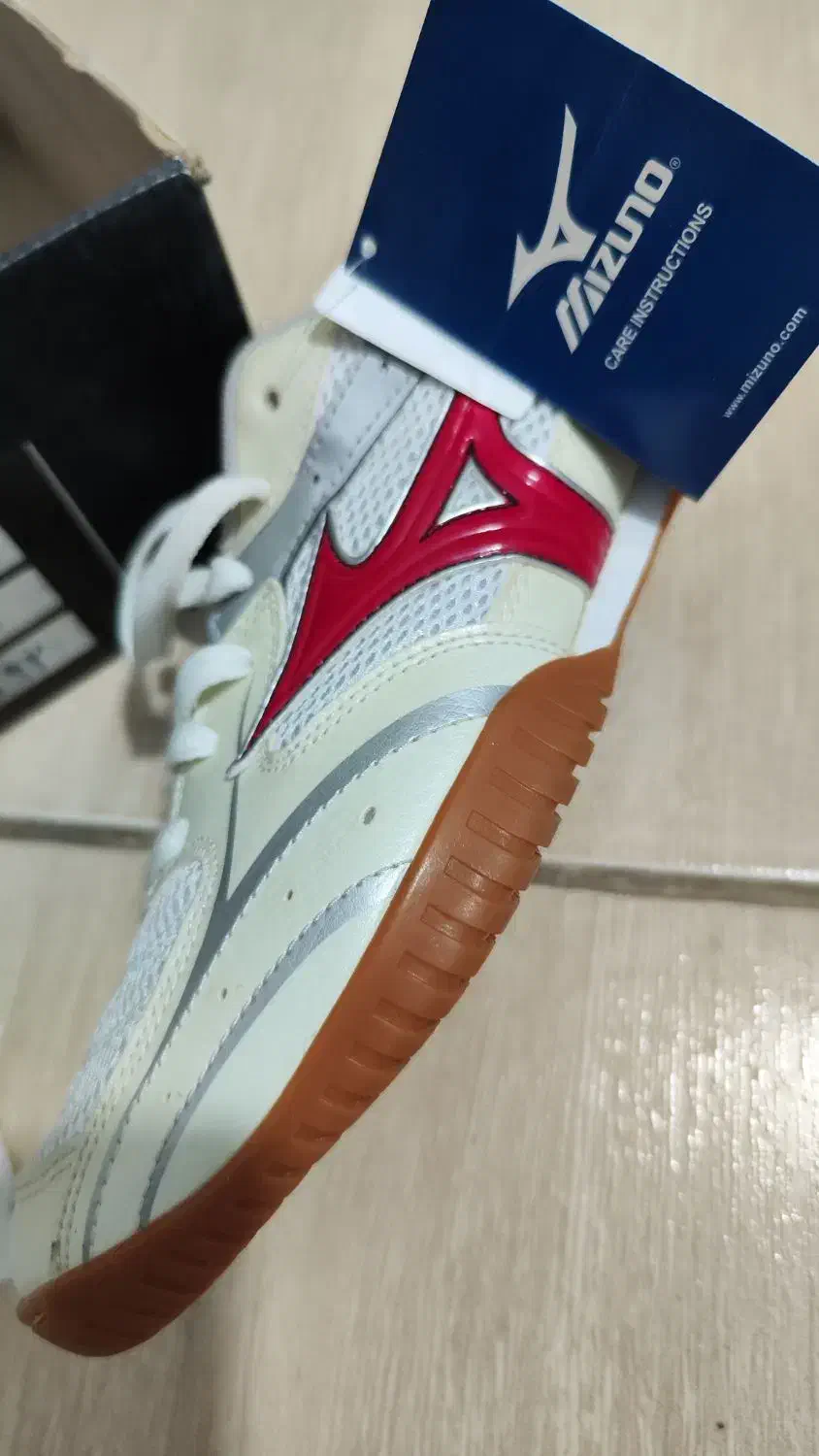 راکت پینگ پنگ|ورزشهای توپی|شیراز, جمهوری|دیوار