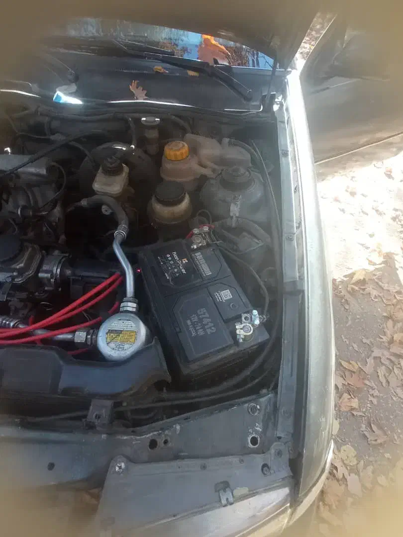 دوو سیلو|خودرو سواری و وانت|کرج, حصار|دیوار