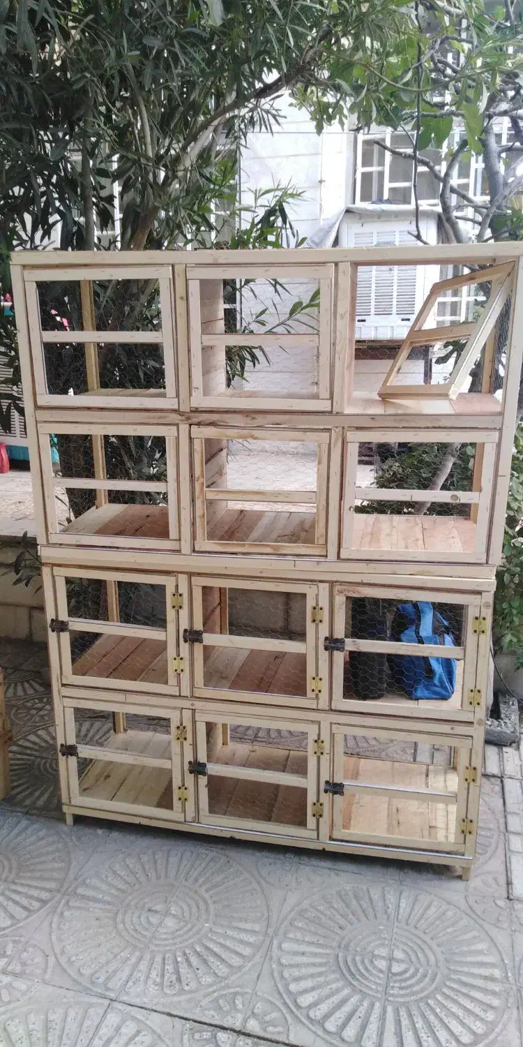 ساخت قفس چوبی|لوازم جانبی حیوانات|کرمانشاه, |دیوار