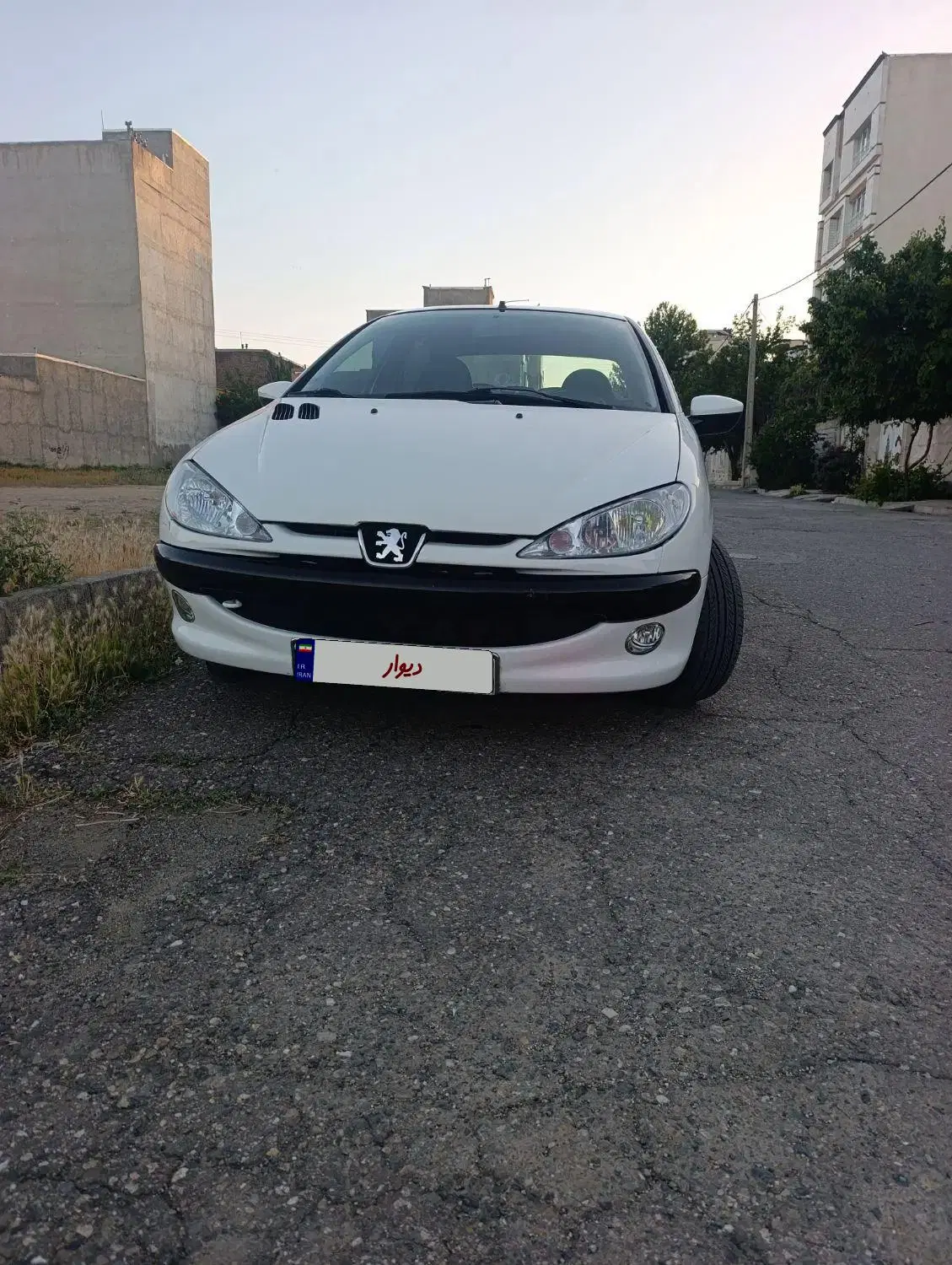 206sdv8مدل96|خودرو سواری و وانت|همدان, |دیوار