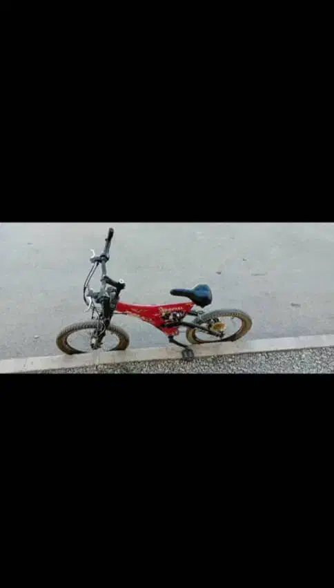 دوچرخه 20|دوچرخه، اسکیت، اسکوتر|سیلوانه, |دیوار