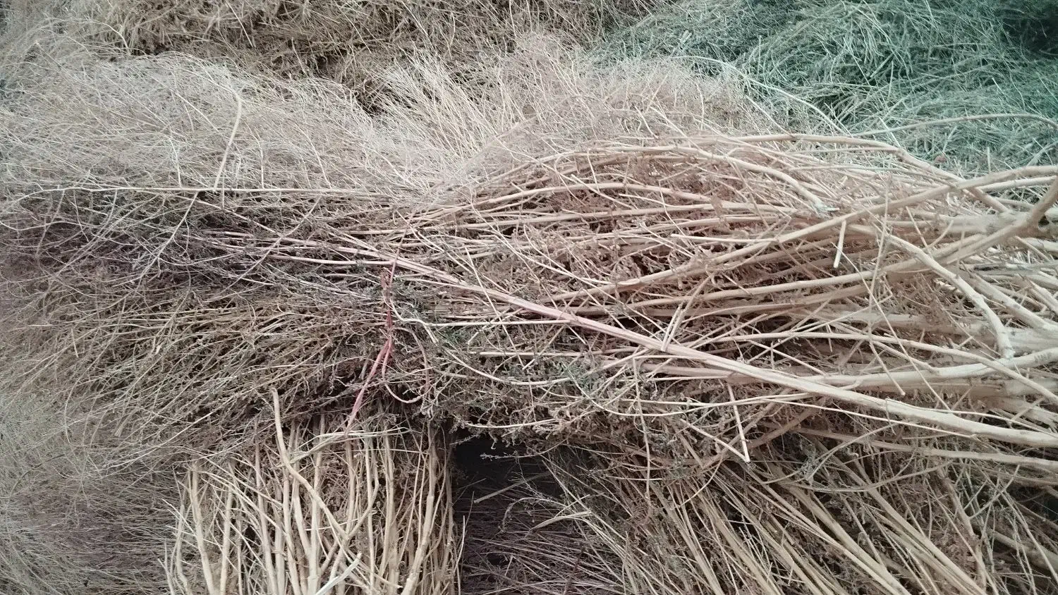 جارو دستی|لوازم نظافت|خوی, |دیوار