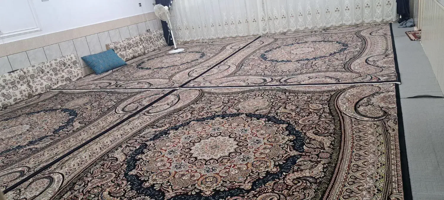 قالی درجه یک|فرش|الیگودرز, |دیوار