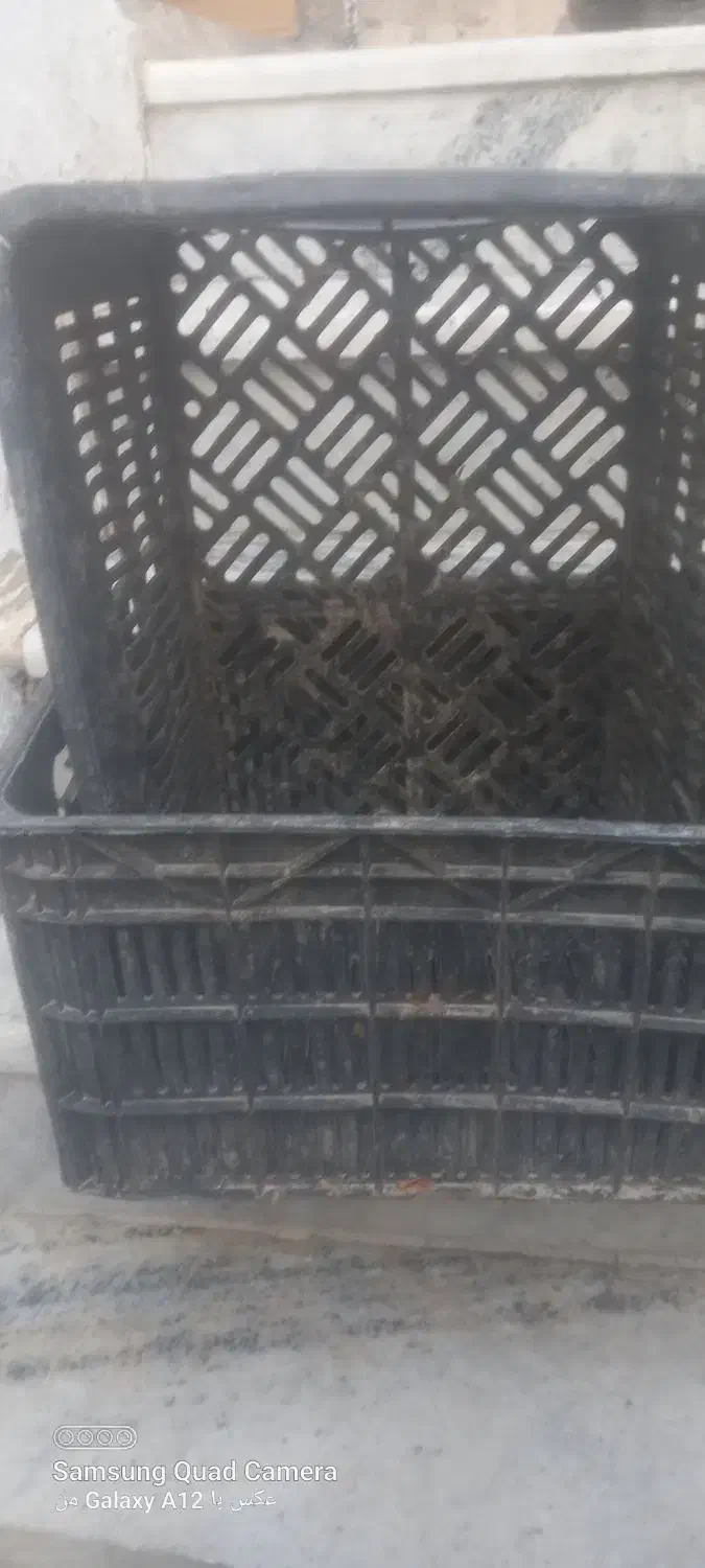 سبد حمال سالم|ظروف نگهدارنده، پلاستیکی، یک‌بارمصرف|مرودشت, ابوذر شمالی‎|دیوار