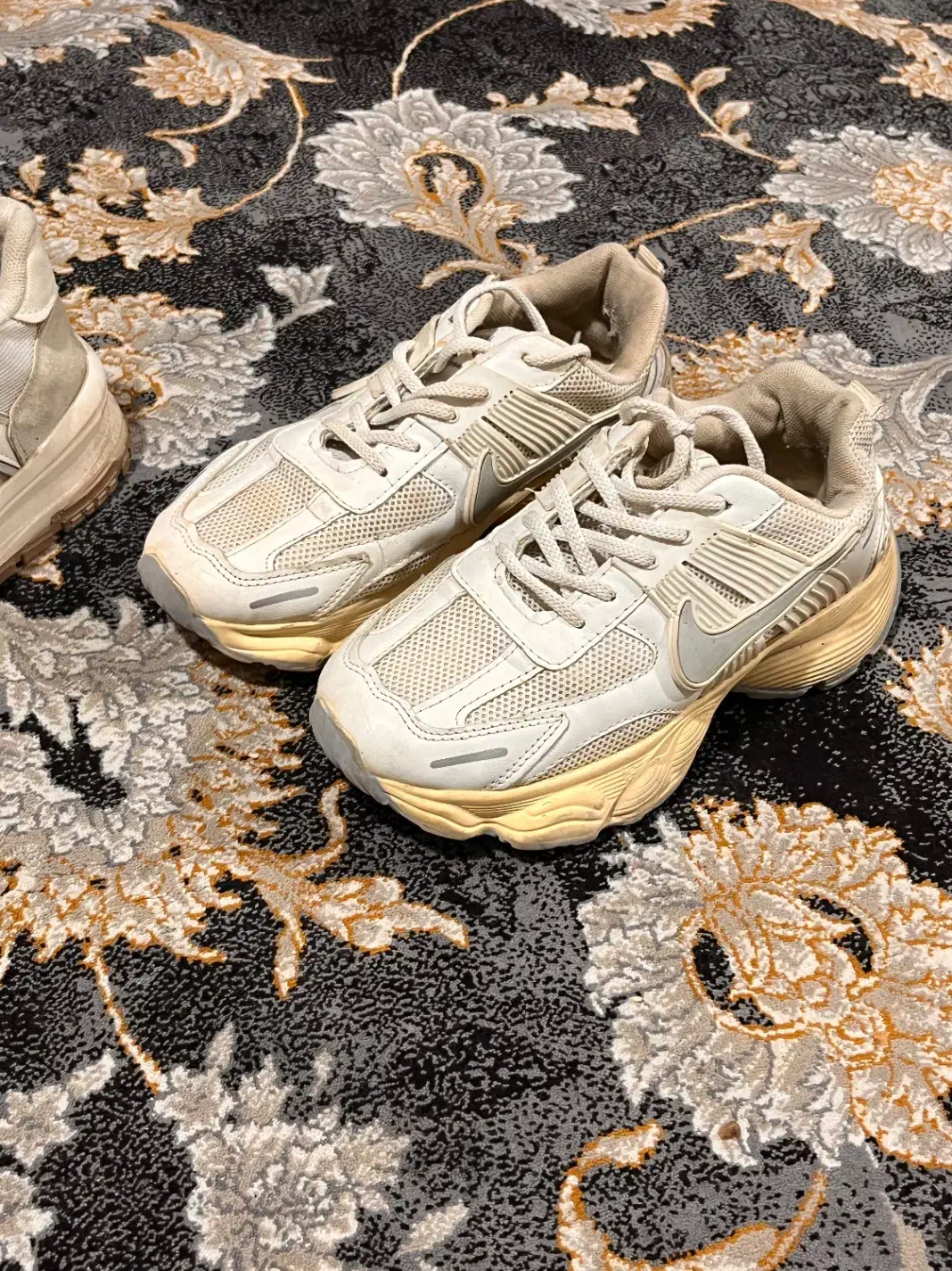 کفش|کیف، کفش، کمربند|دوگنبدان, |دیوار