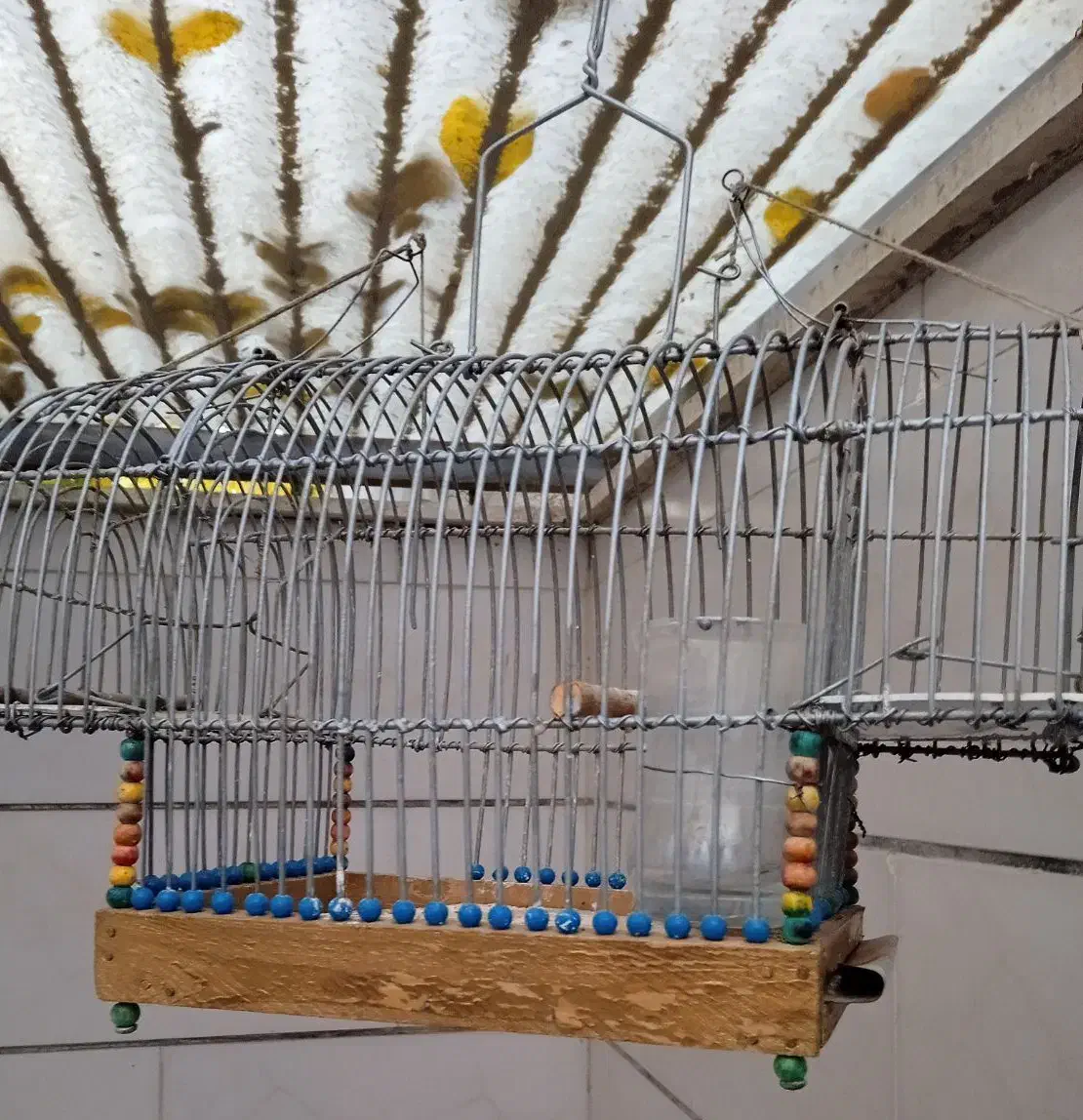 قفس تله دستساز|لوازم جانبی حیوانات|الوند, |دیوار