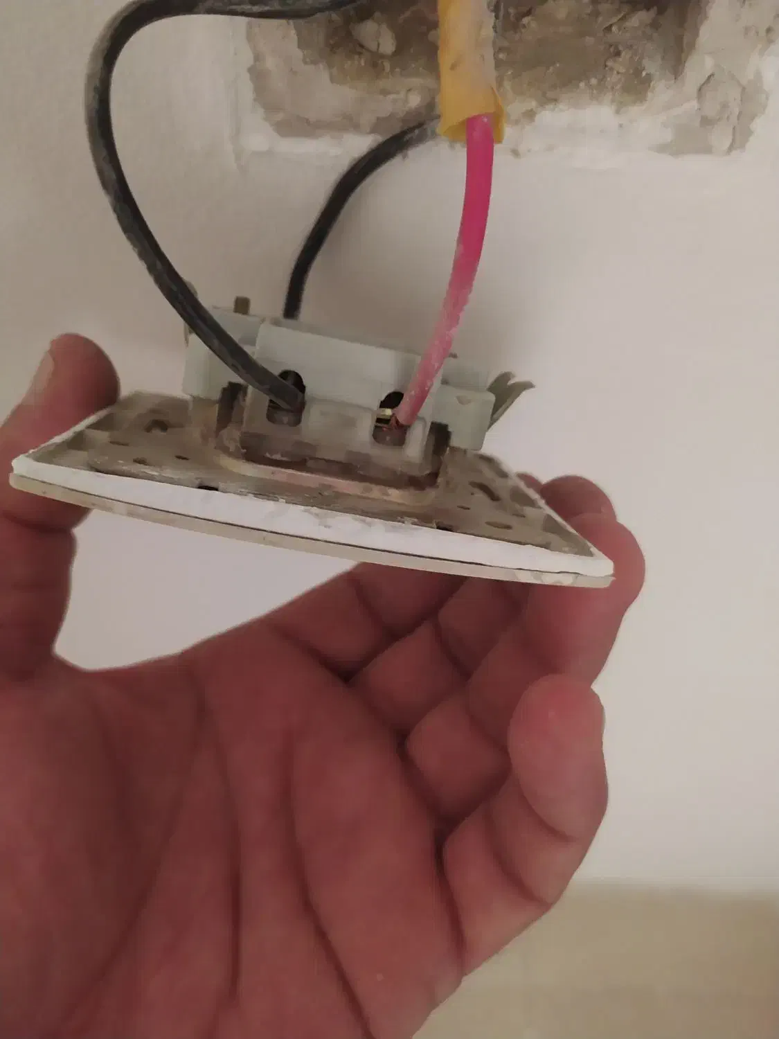 سیم آنتن|تلویزیون و پروژکتور|بوشهر, |دیوار