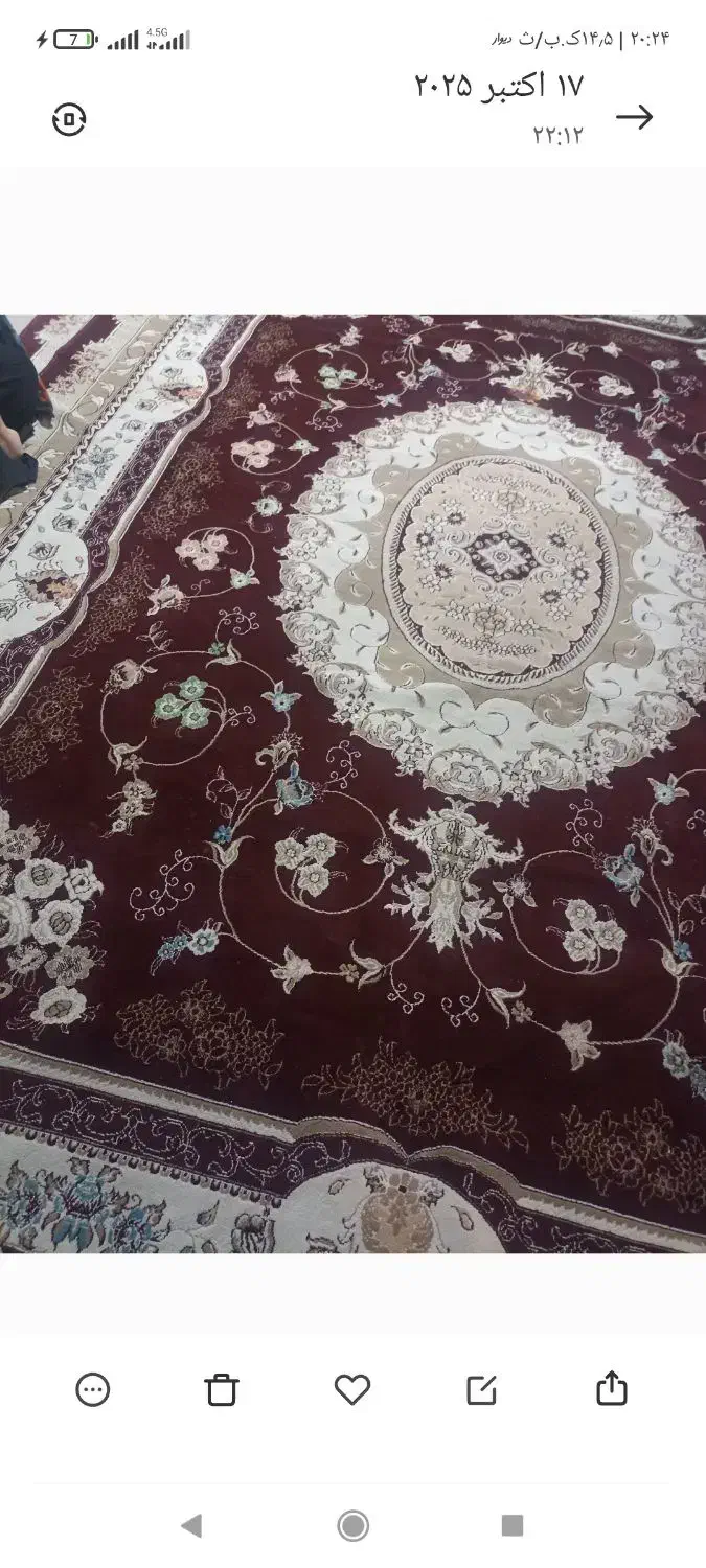 دوتا فرش ۱۲متری تمام نخ پنج پانصد|فرش|نورآباد, |دیوار