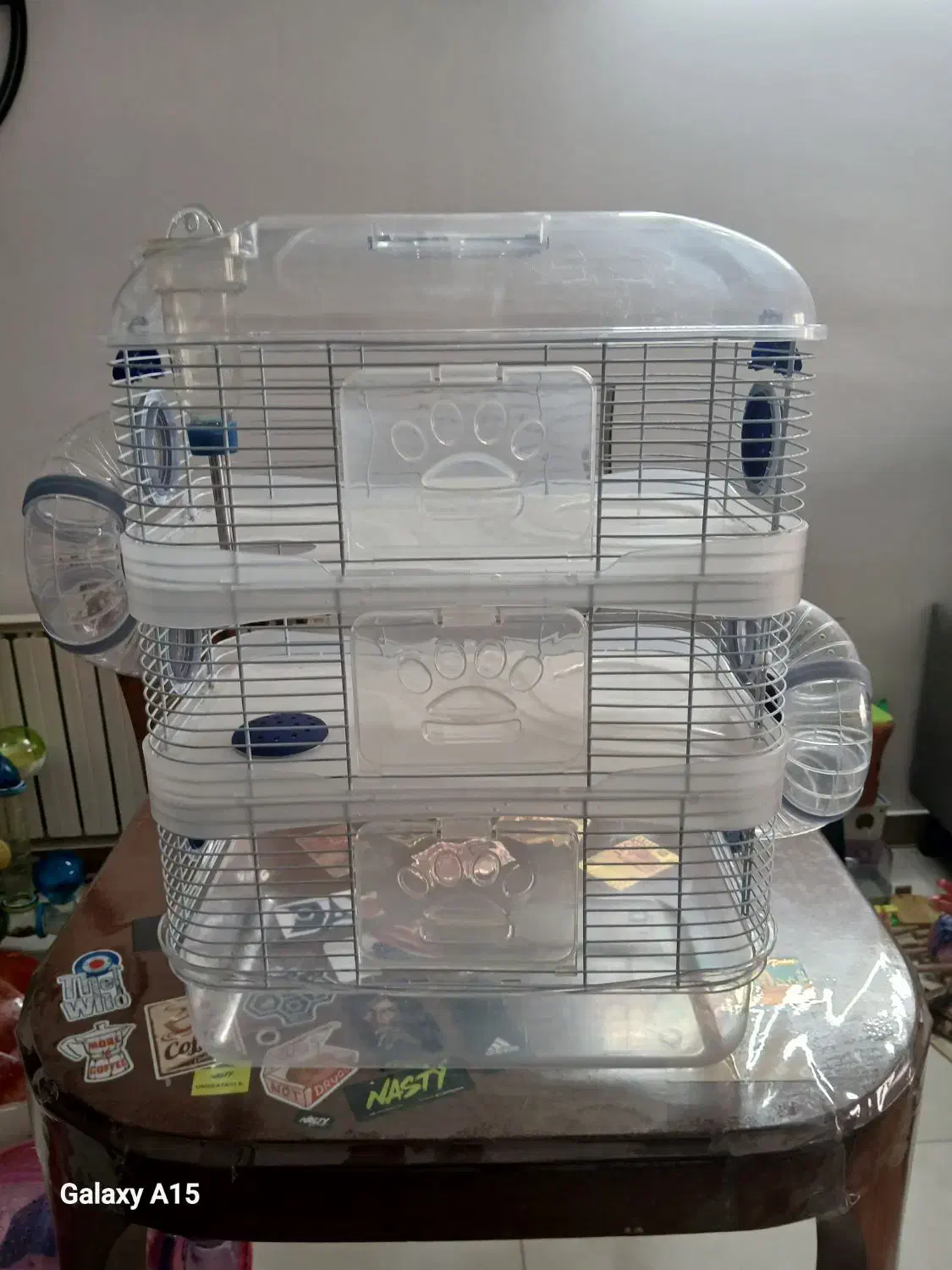 قفس جوندگان|موش و خرگوش|تهران, سازمان برنامه جنوبی|دیوار