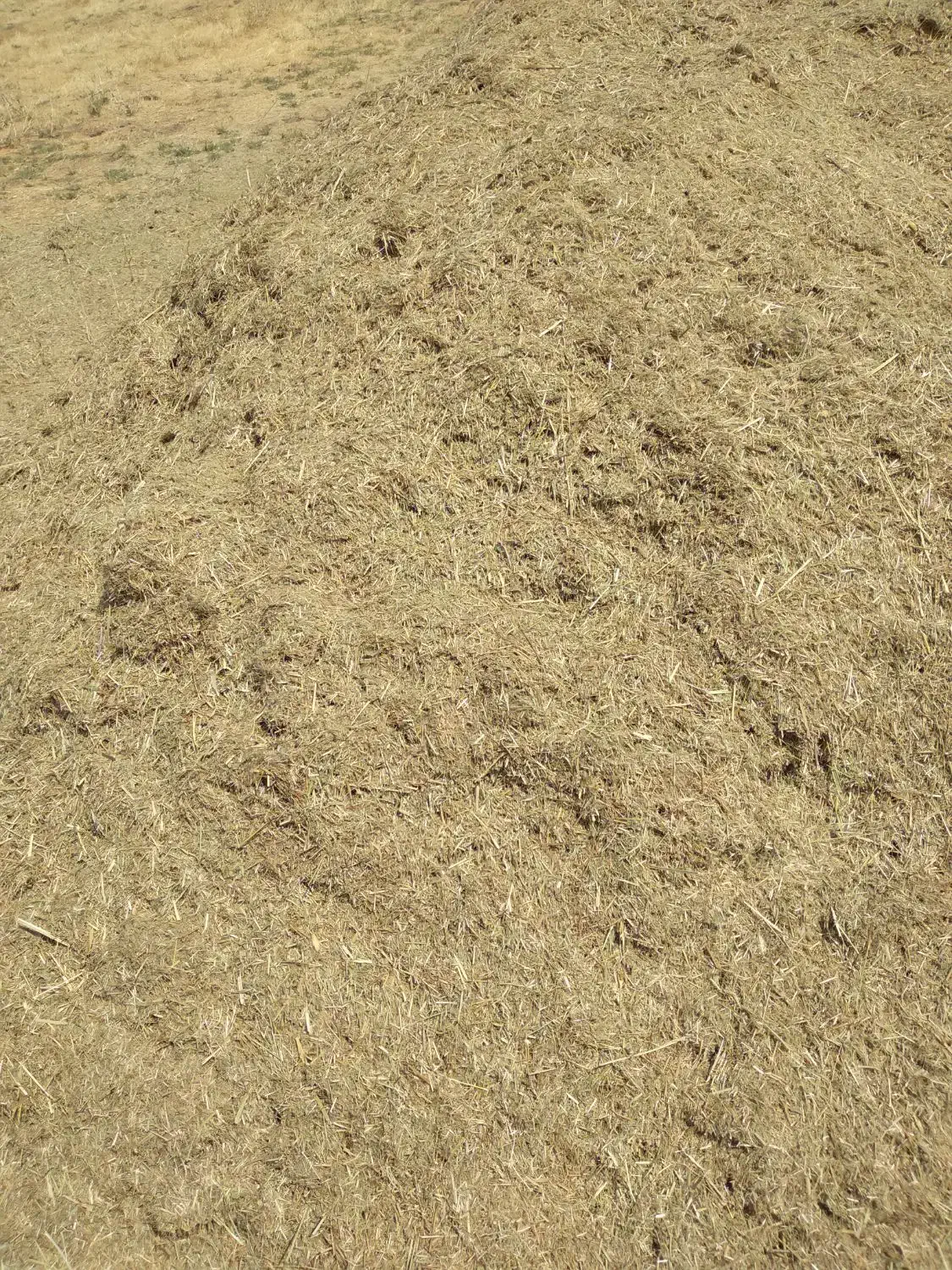 علف چار زمین|حیوانات مزرعه|مریوان, |دیوار