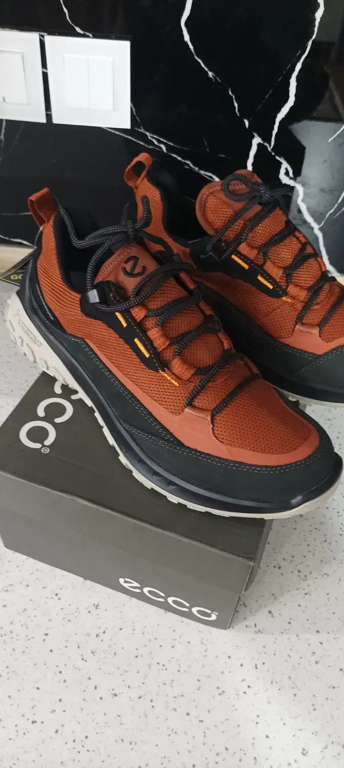 کفش اکو|کیف، کفش، کمربند|رشت, رشتیان|دیوار