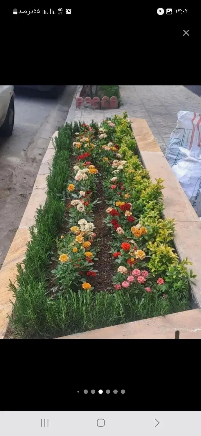 خدمات کل باغبانی|خدمات باغبانی و درختکاری|اسلامشهر, زرافشان|دیوار