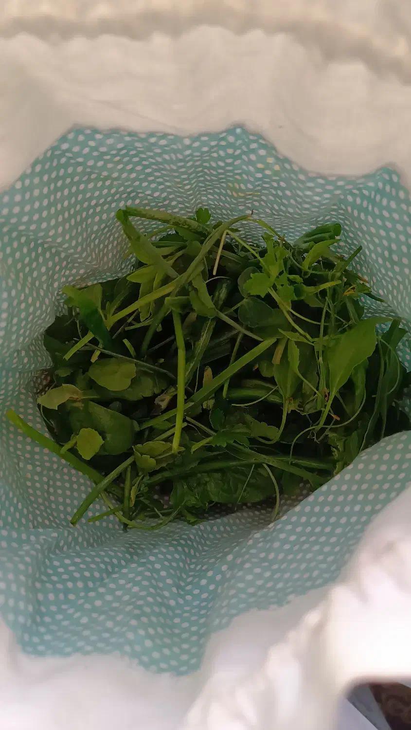 کیسه میوه و سبزی|صنایع دستی و سایر لوازم تزئینی|سمنان, |دیوار