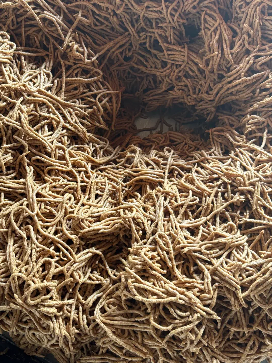 خمیر خرما سیس خاصه خرما|عمده‌فروشی|خشت, |دیوار