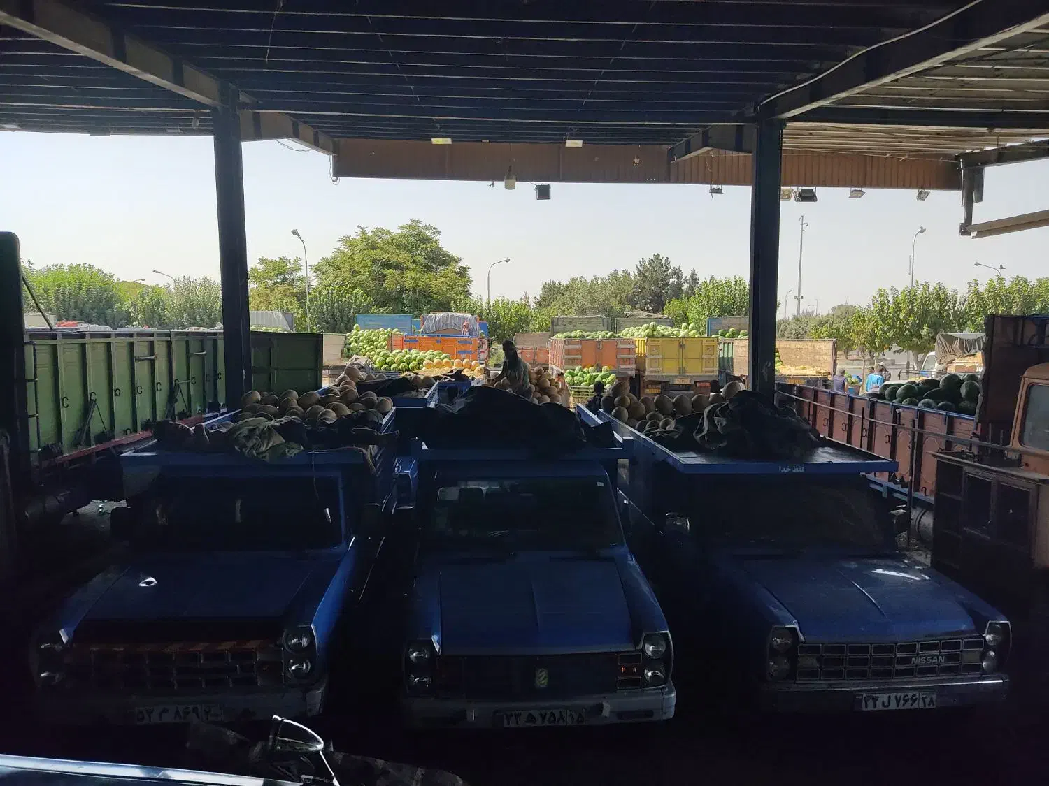 فروش 6دانگ.حجره تره بارتهران فاز 2 سالن 10 پلاک 27|فروش مغازه و غرفه|تهران, میدان میوه و تره‌بار مرکزی|دیوار