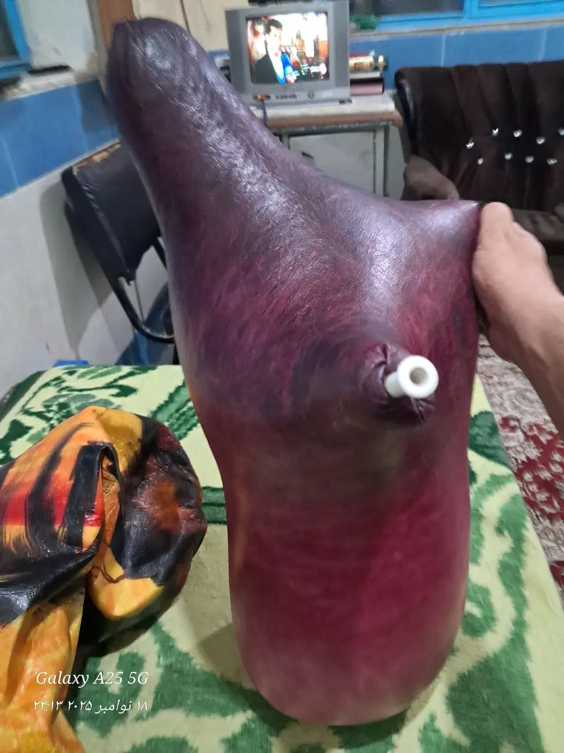 پوست نی انبان|سازهای بادی|اصفهان, باغ فدک|دیوار