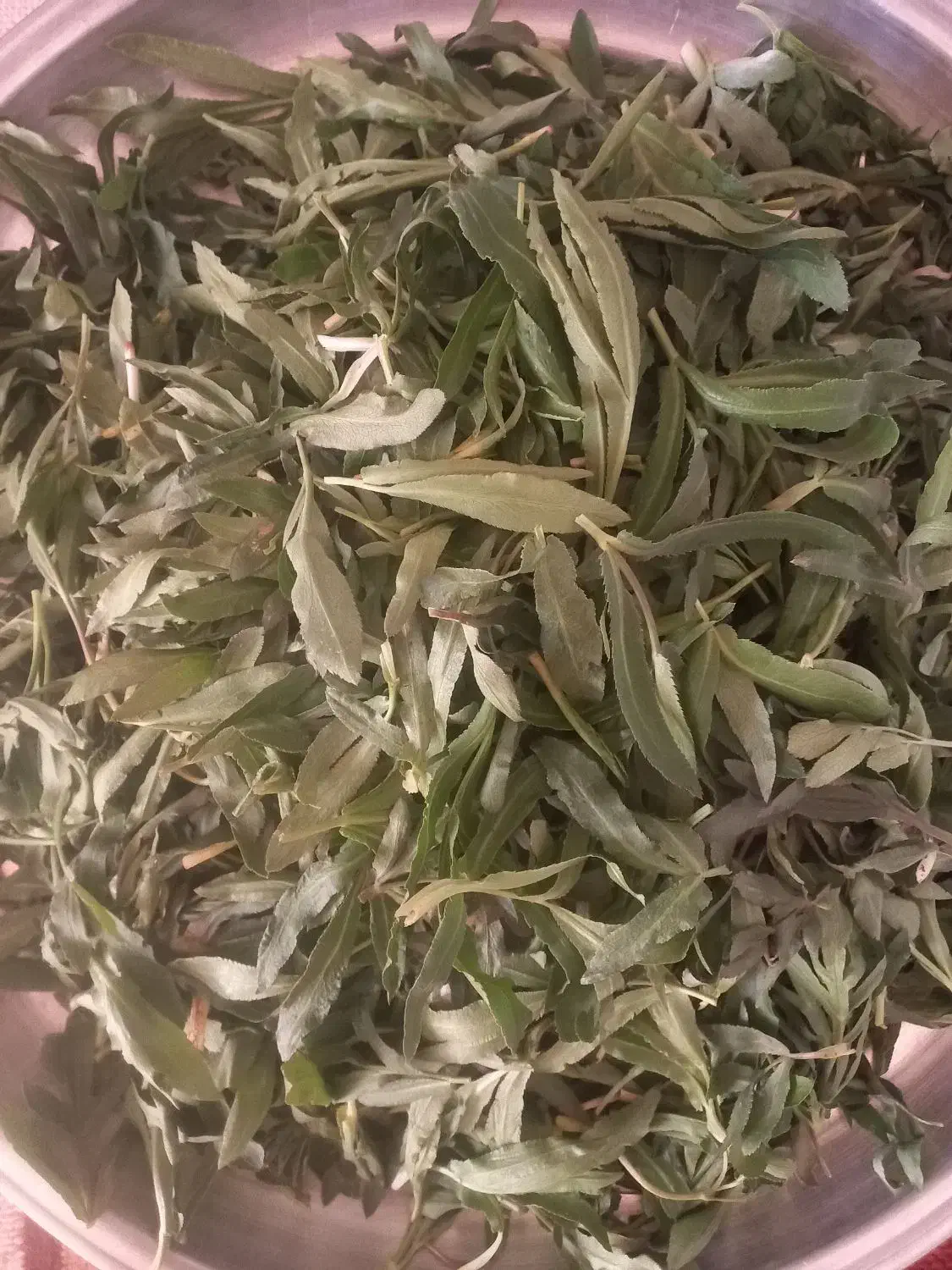 تره|گل و گیاه طبیعی|همدان, |دیوار