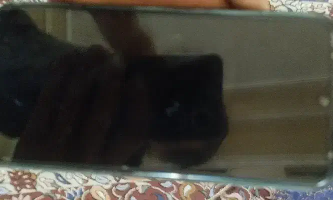 سیم کارت بیلبوردی بیزینسی هزاری ۶۰۰۷|سیمکارت|استهبان, |دیوار