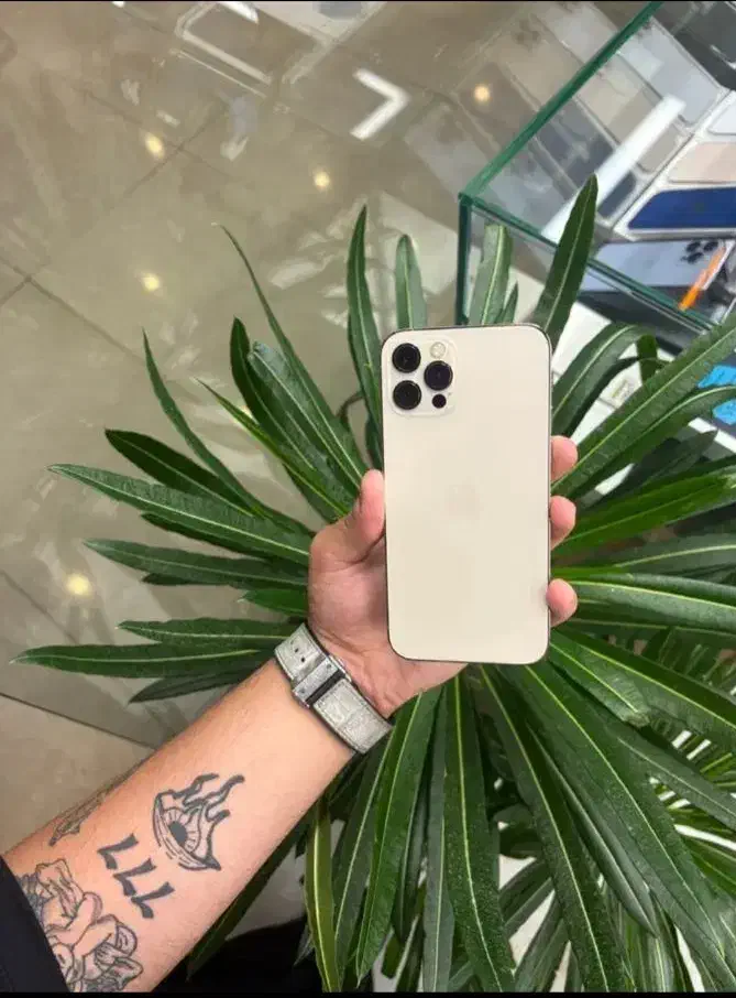 گوشی IPhone 12pro max|موبایل|یزد, |دیوار
