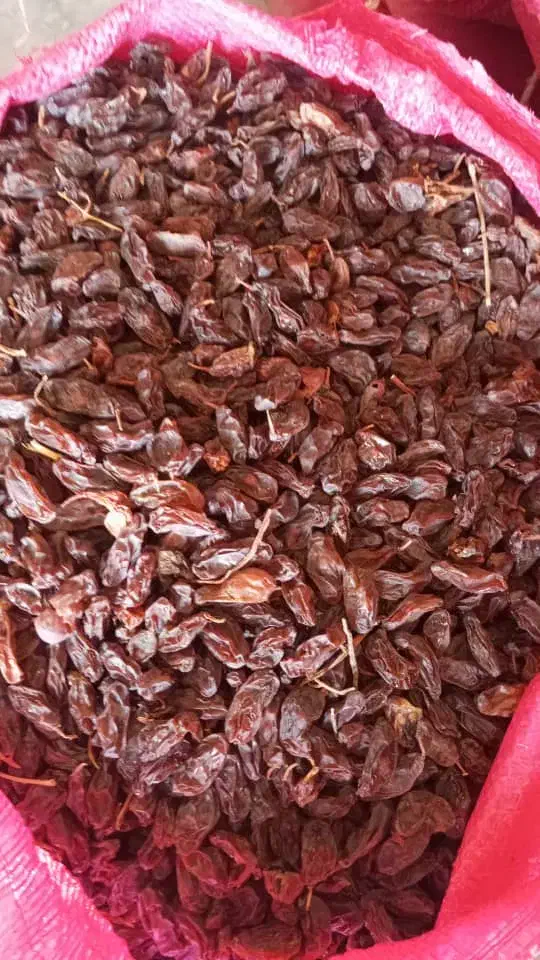 فروش مویز|خوردنی و آشامیدنی|شیراز, گویم|دیوار