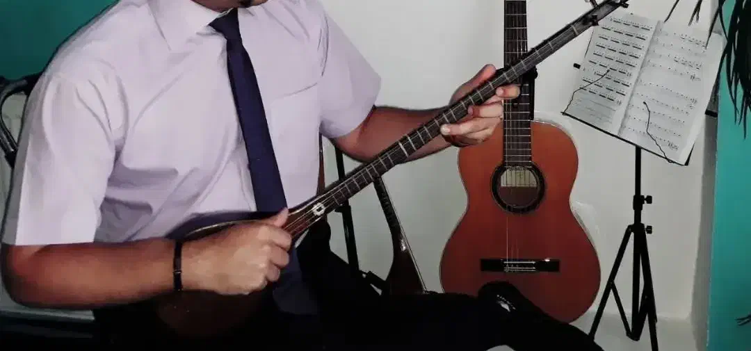 آموزش آنلاین تار و سه تار و تئوری و سلفژ|خدمات آموزشی|پیشوا, |دیوار