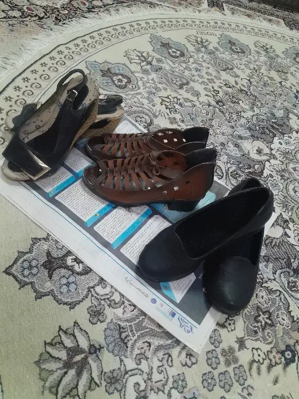 صندل|کیف، کفش، کمربند|بجنورد, |دیوار