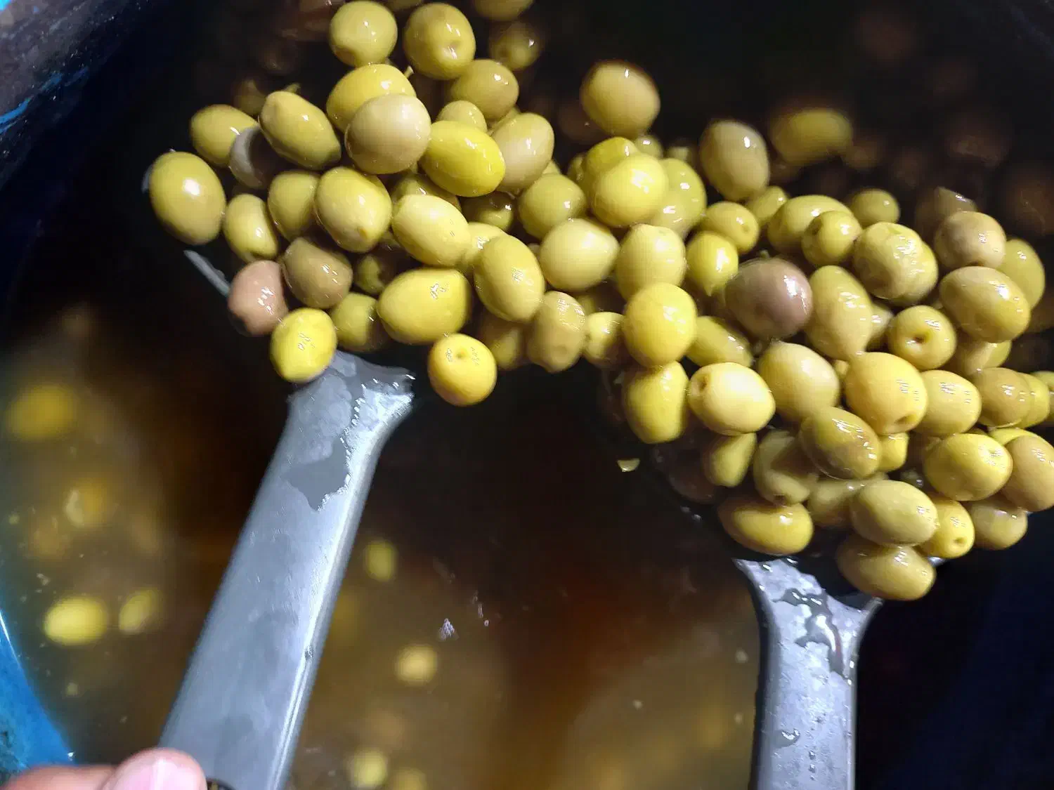 پخش زیتون|خوردنی و آشامیدنی|اسلامشهر, زرافشان|دیوار