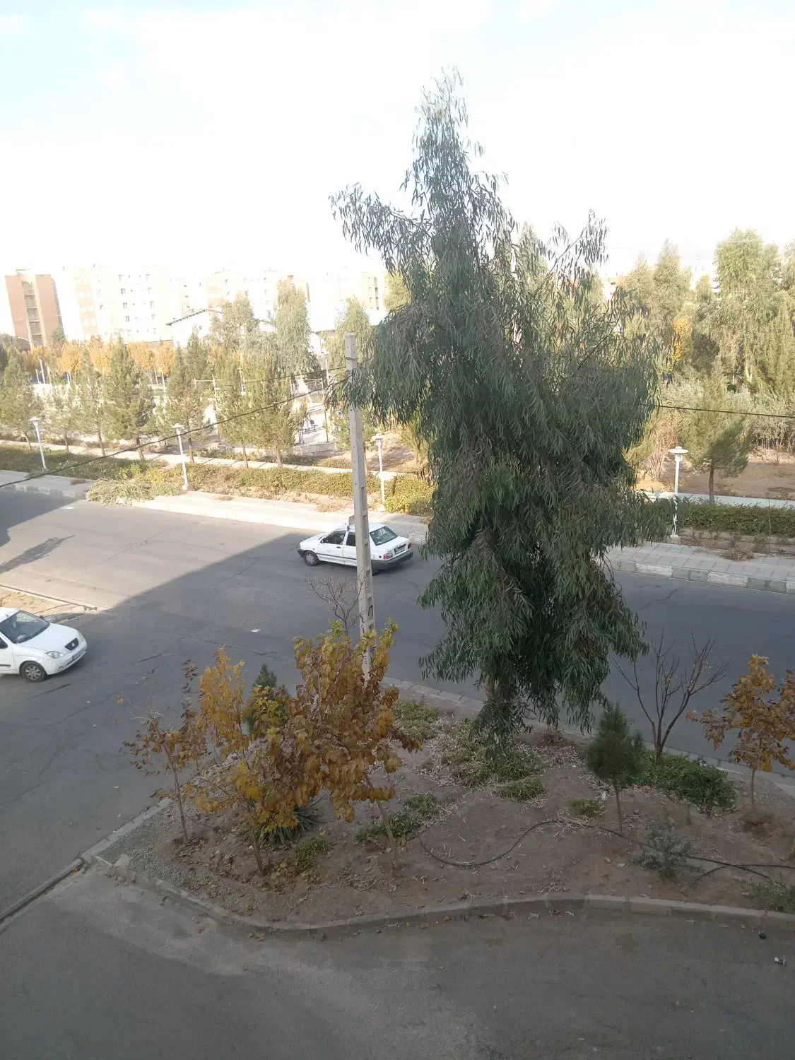 اجاره مغازه جمکران، بحر خیابان اصلی|اجارهٔ مغازه و غرفه|قم, جمکران|دیوار