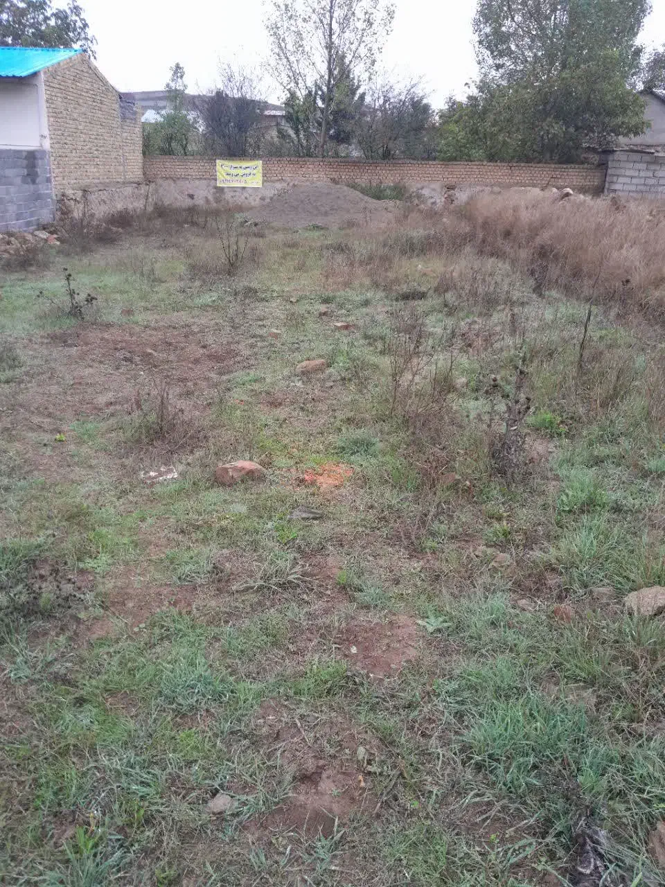 زمین فروشی ۳۰۰متر درمیر افضل|فروش زمین و ملک کلنگی|کیاسر, |دیوار