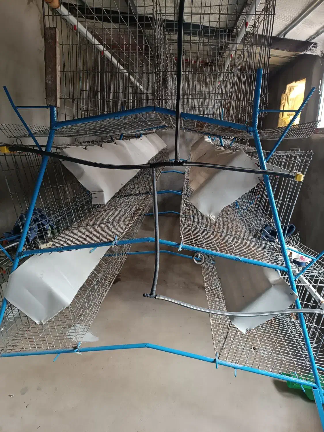 فروش قفس مرغ تخمگذار|لوازم جانبی حیوانات|خواجه, |دیوار