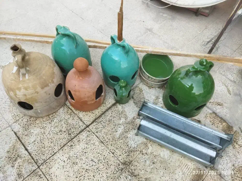 وسایل کبوتر|لوازم جانبی حیوانات|پاکدشت, پاکدشت (مامازند)|دیوار