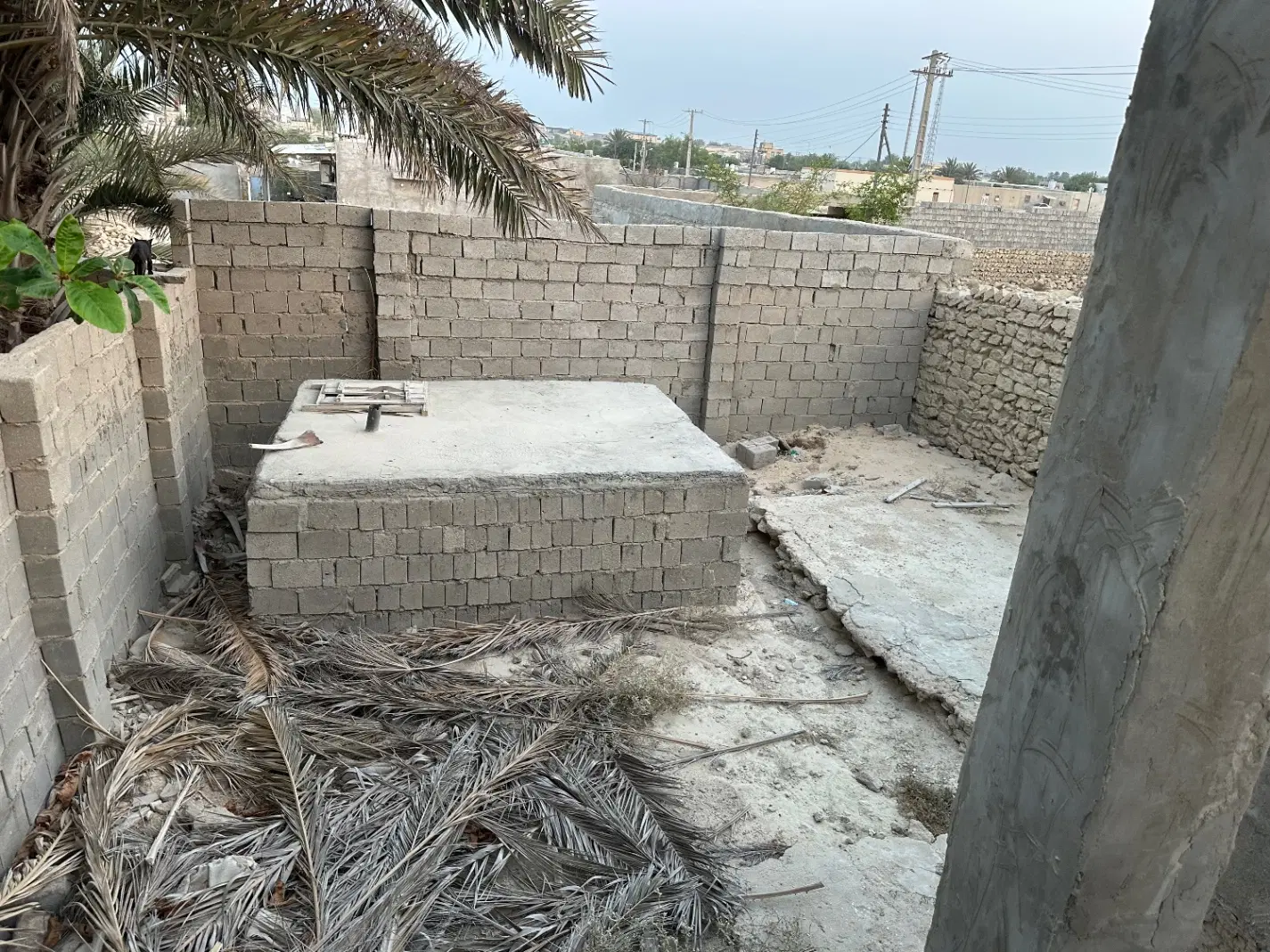 تصویر 6