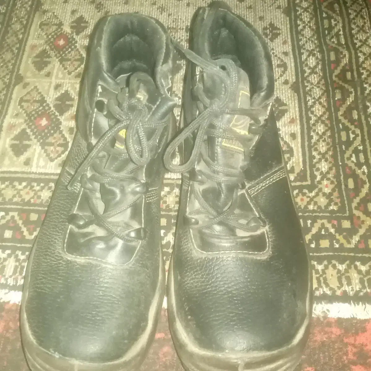 کفش|کیف، کفش، کمربند|تربت‌حیدریه, پائین ولایت|دیوار