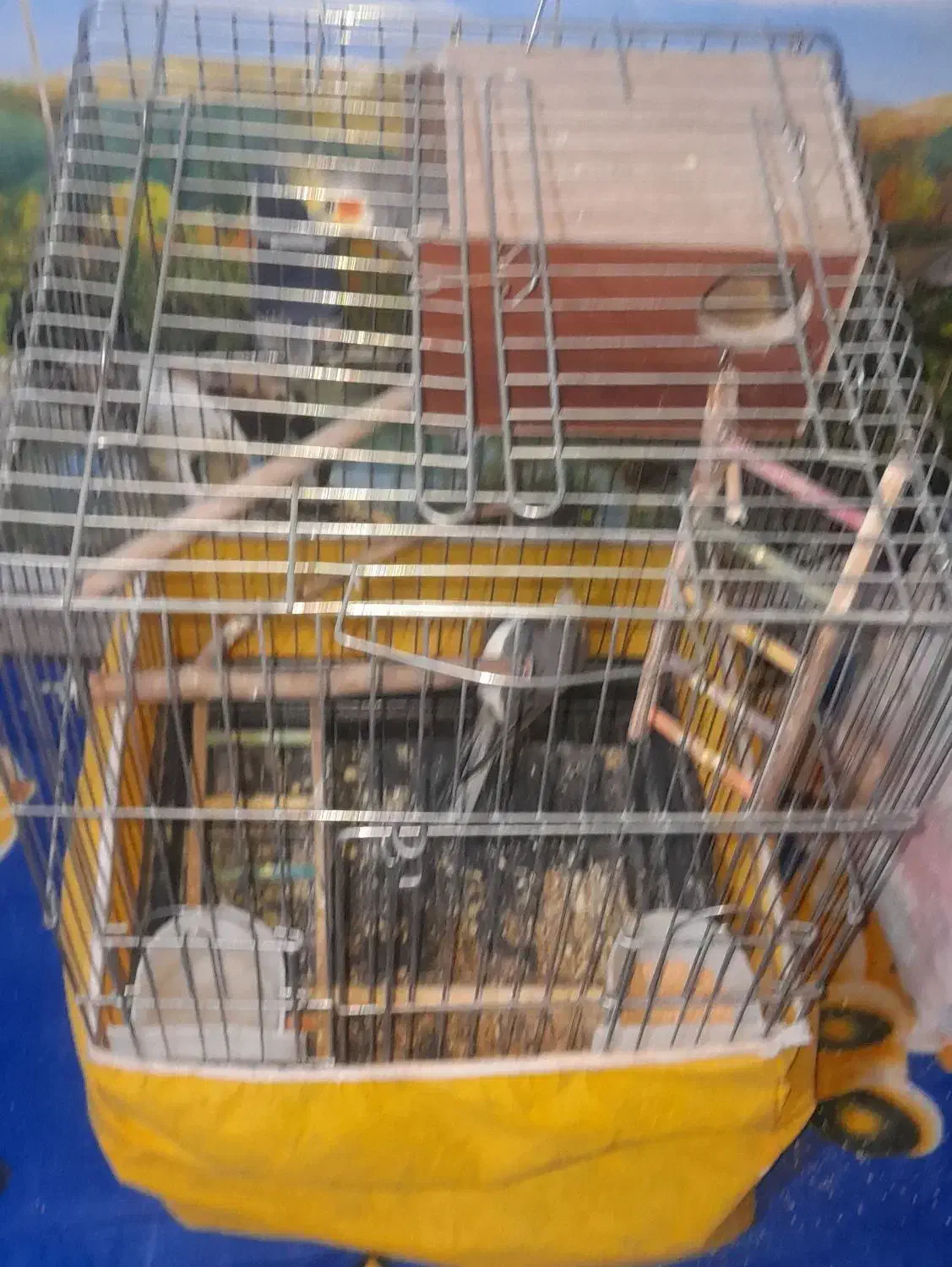 قفس پرنده|لوازم جانبی حیوانات|رباط‌کریم, الارد|دیوار