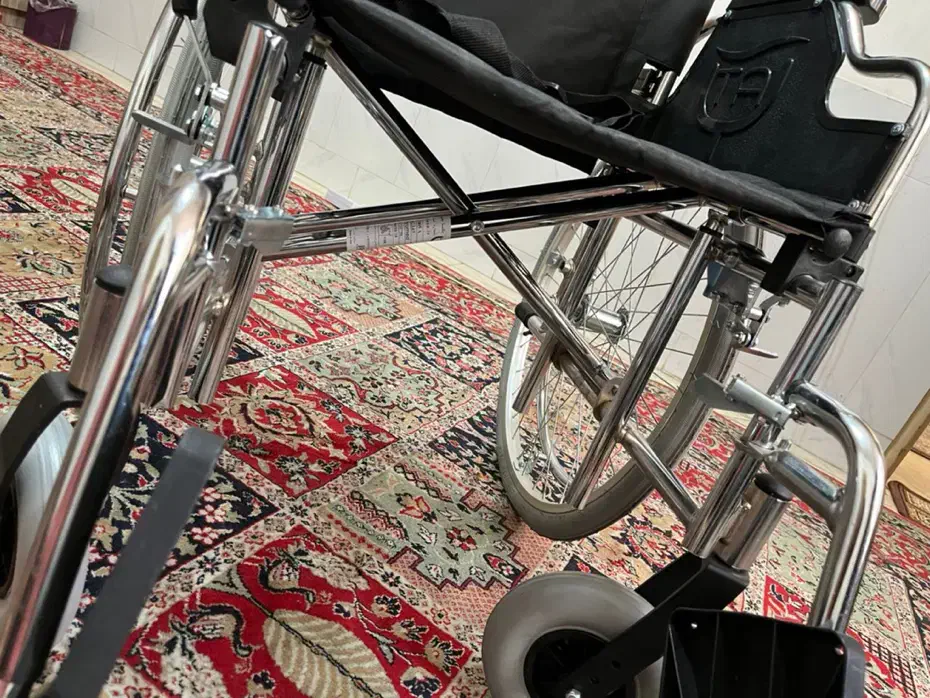 ویلچر دستی|پزشکی|اصفهان, باغ دریاچه|دیوار