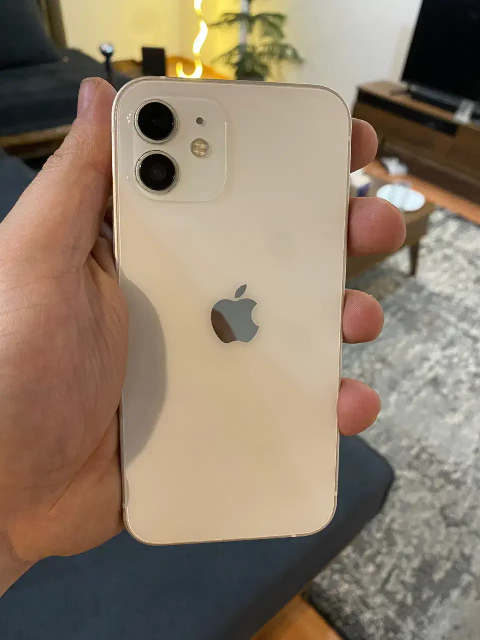 iphone 12 normal|موبایل|مشهد, هنرستان|دیوار