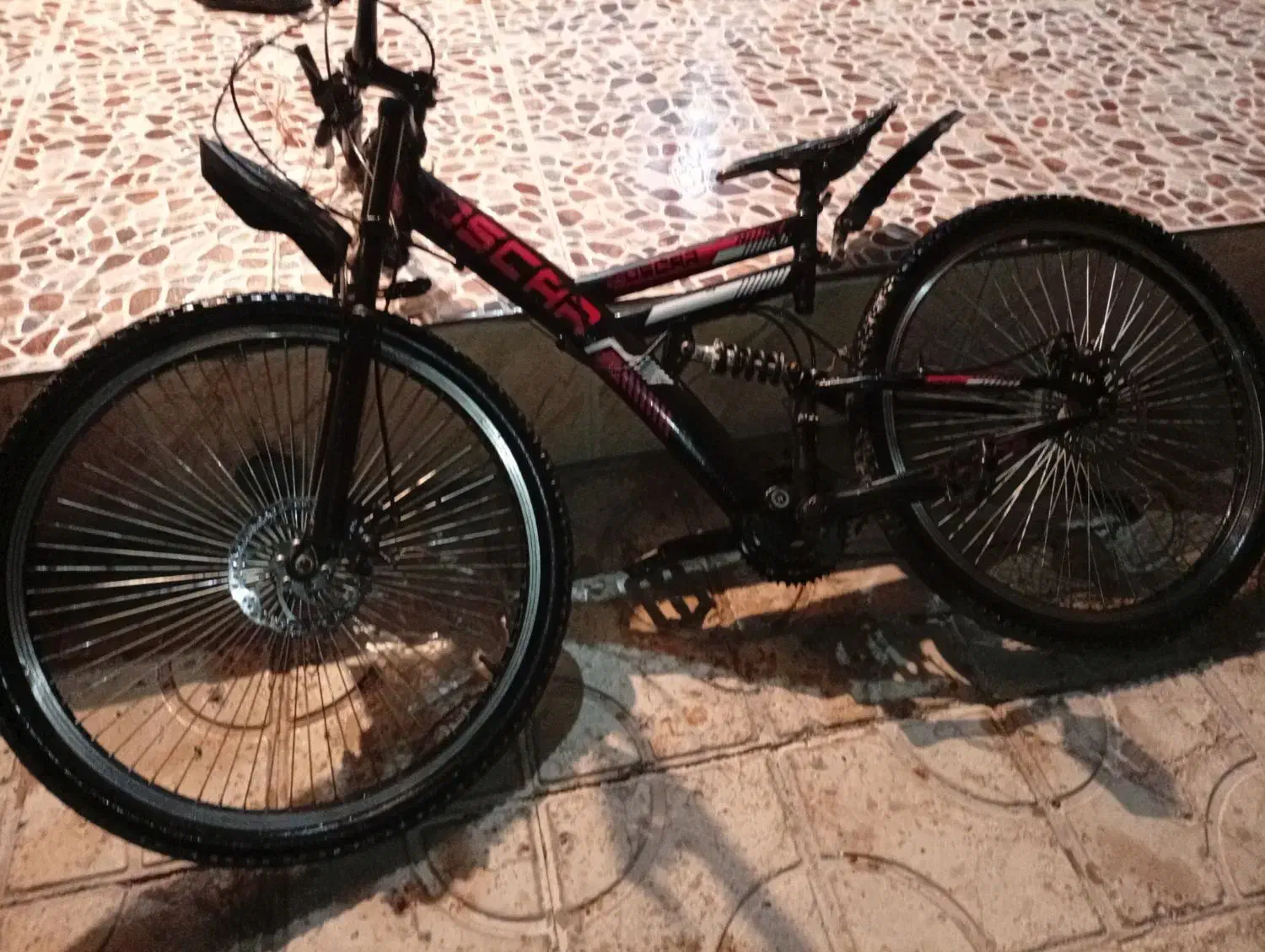 دوچرخه|دوچرخه، اسکیت، اسکوتر|داراب, |دیوار