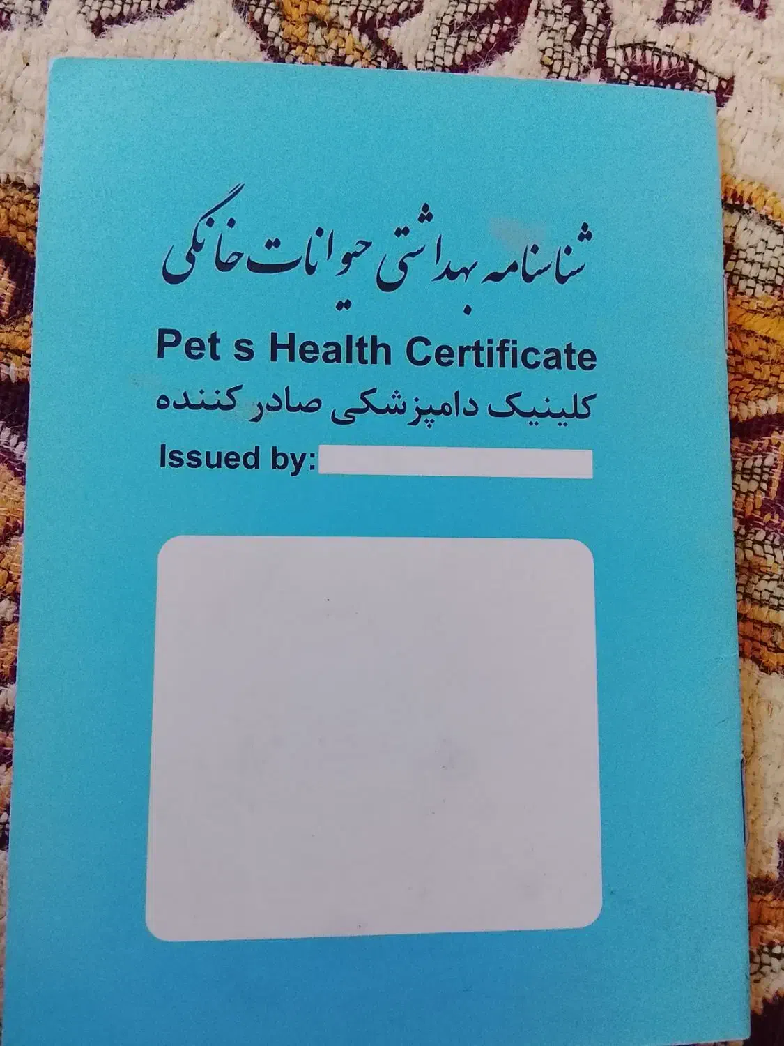 شناسنامه گربه|گربه|پرند, فاز ۶|دیوار