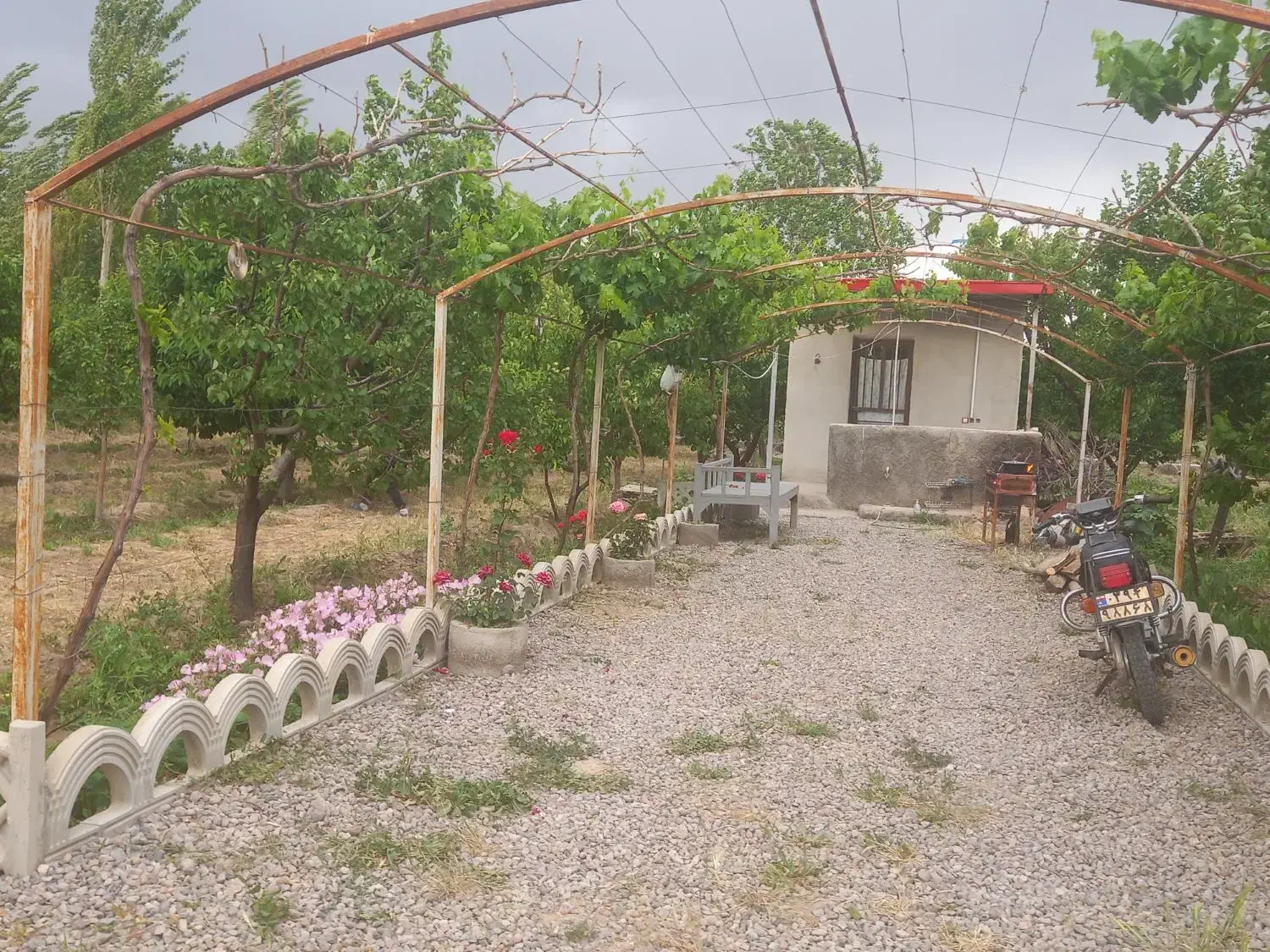 فروش باغ 1500متری در اراضی جواش|فروش دفتر صنعتی، کشاورزی، تجاری|مرند, |دیوار