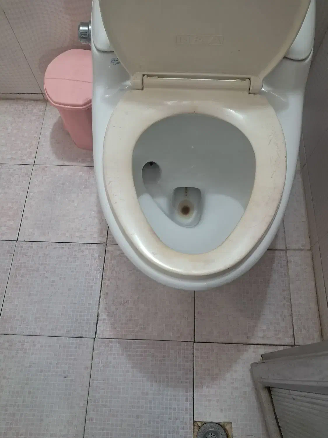 توالت فرنگی سالم وتمیزبادرنو|لوازم سرویس بهداشتی|فولادشهر, A3|دیوار