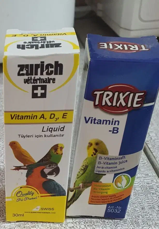 مرغ عشق|پرنده|شیراز, کوشک میدان|دیوار