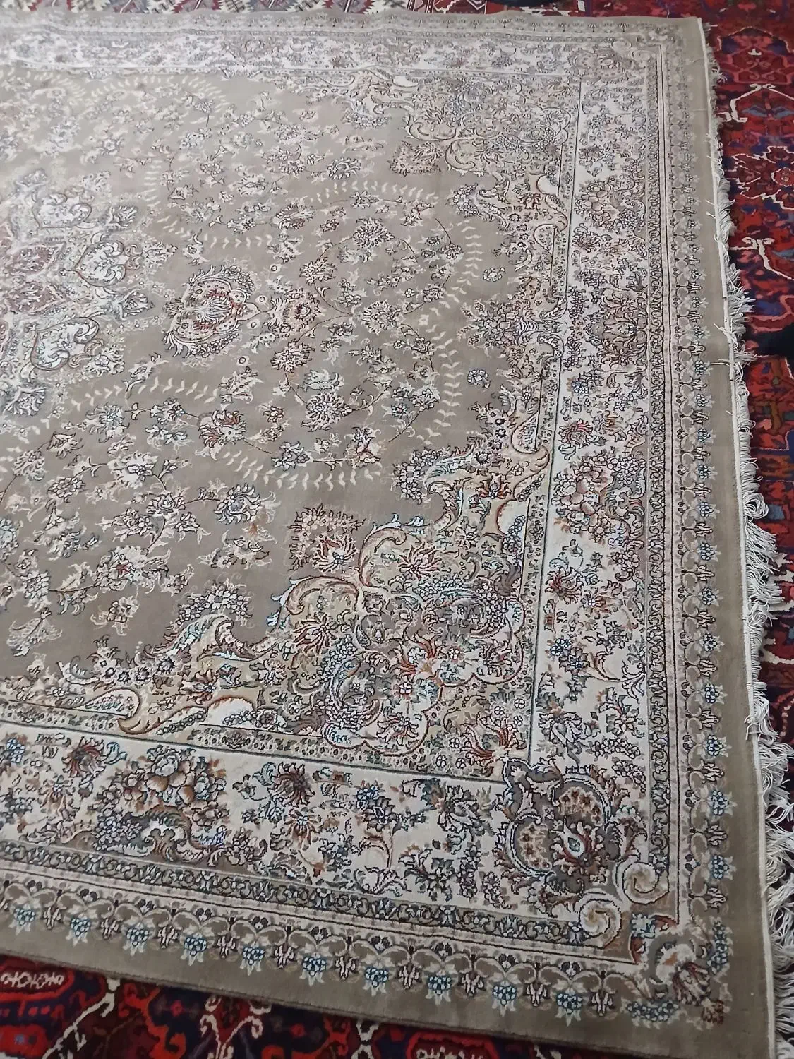 فرش ۱۲ متری|فرش|اهر, |دیوار