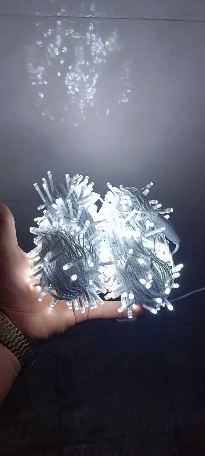 ریسه 50 متری سوزنی عمده|ریسه و چراغ تزئینی|بندرعباس, |دیوار