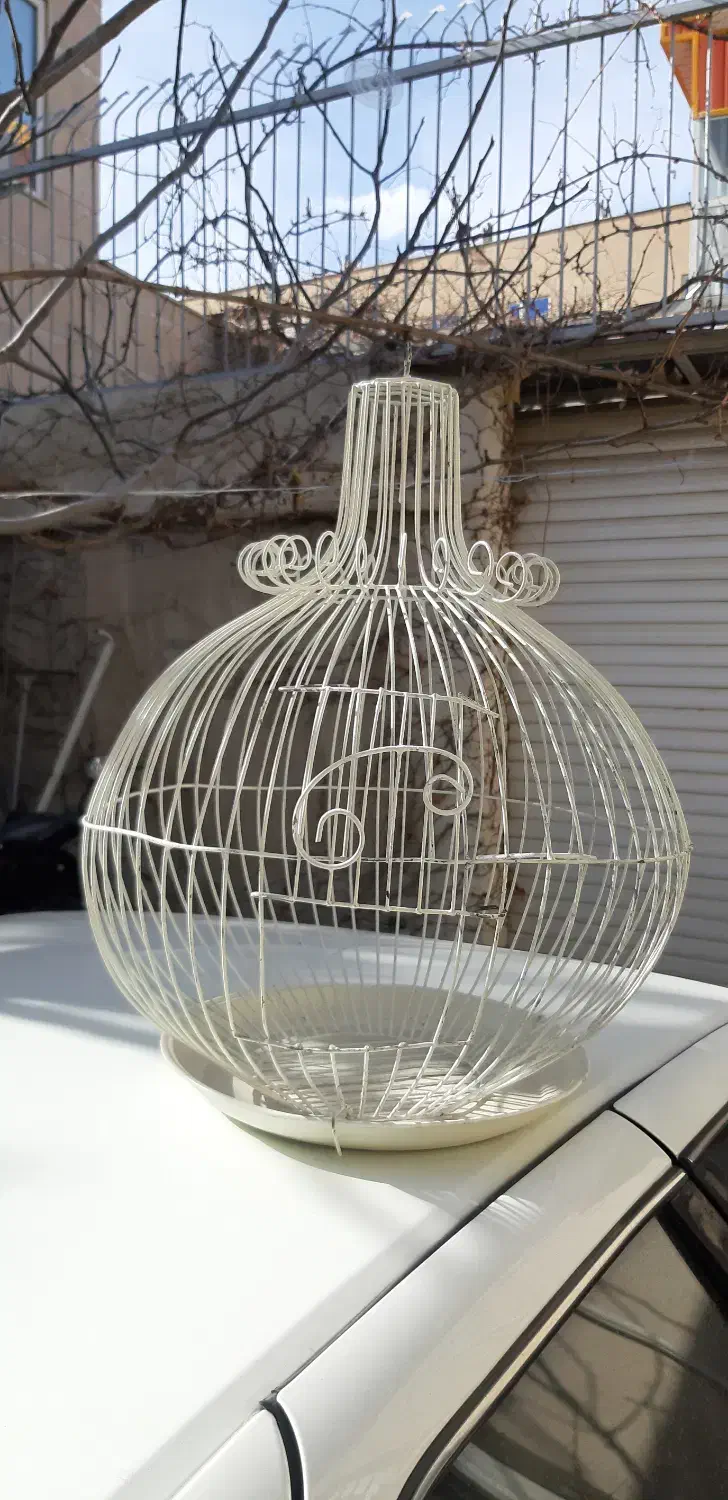 قفس پرنده|لوازم جانبی حیوانات|اراک, |دیوار