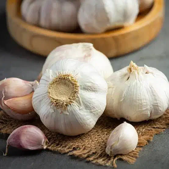 سیر|خدمات باغبانی و درختکاری|تویسرکان, |دیوار