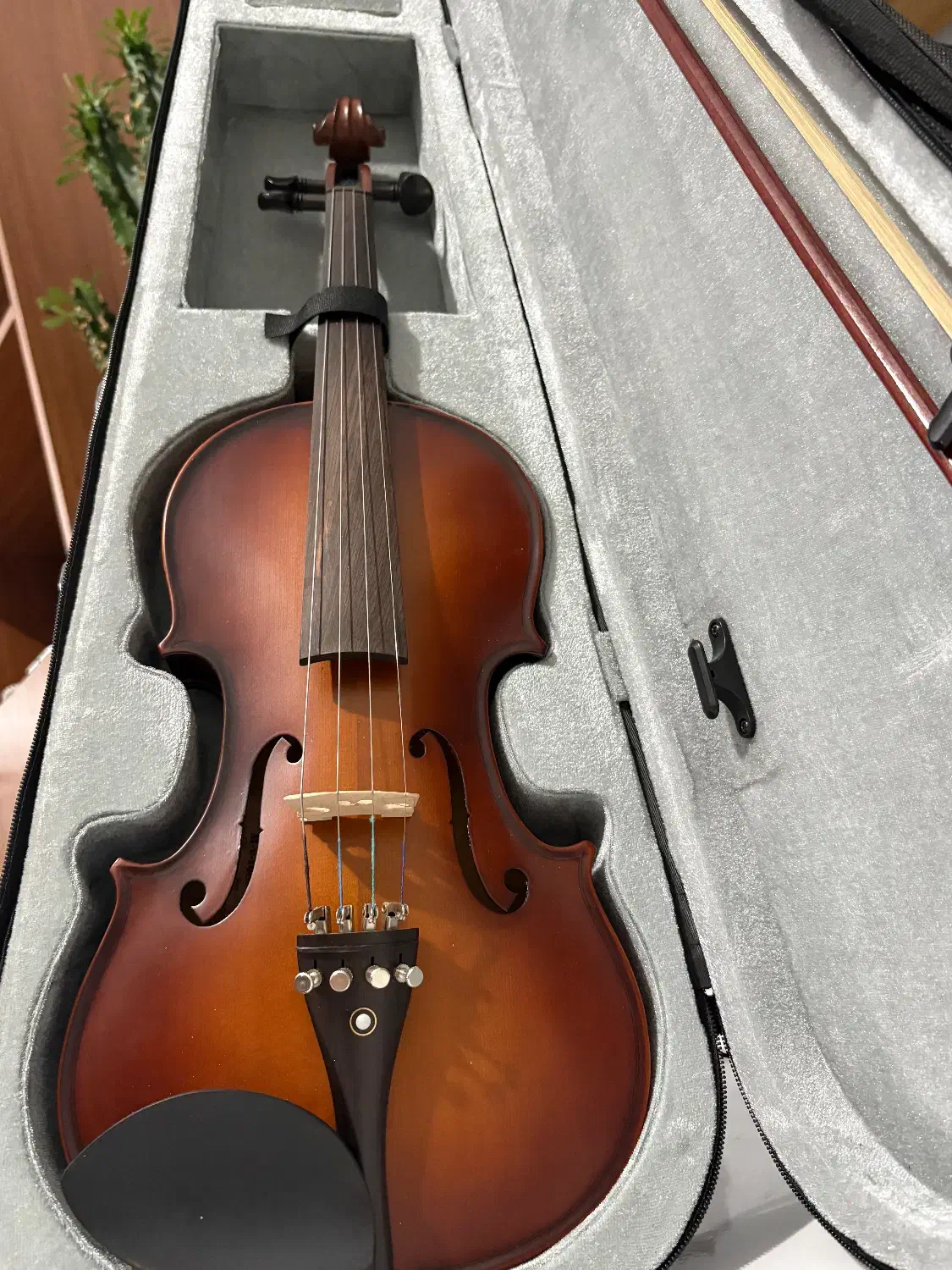 ویولن پیرلی|ویولن|کرمانشاه, |دیوار