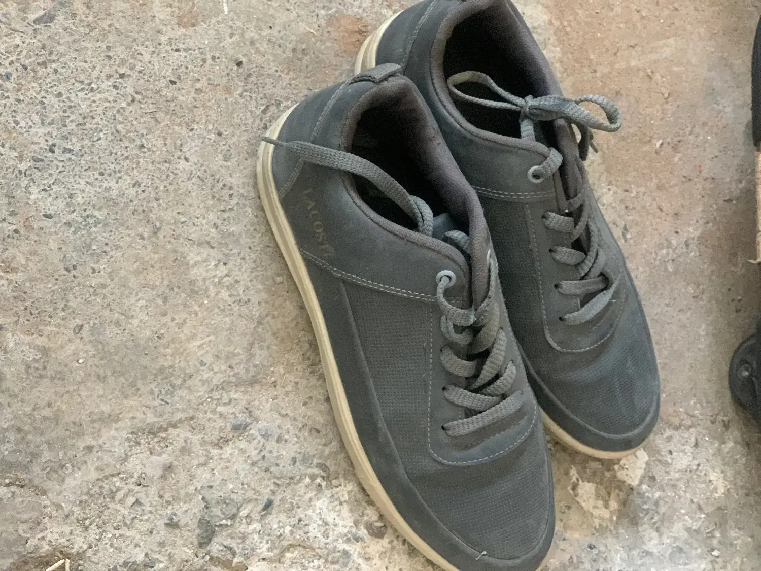 کفش|کیف، کفش، کمربند|کاشمر, |دیوار