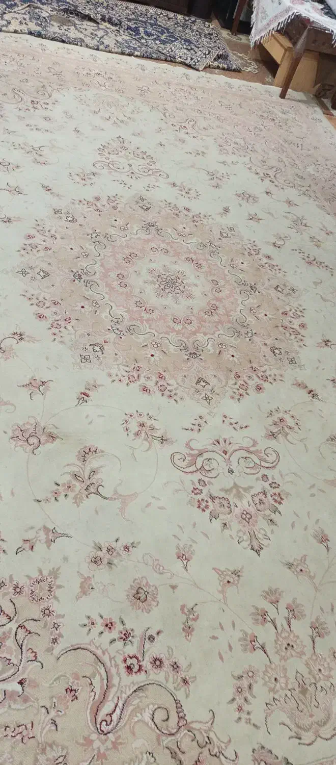 فرش ۱۲متری کرم گل بهی ضخیم وجان دار|فرش|طاهرگوراب, |دیوار